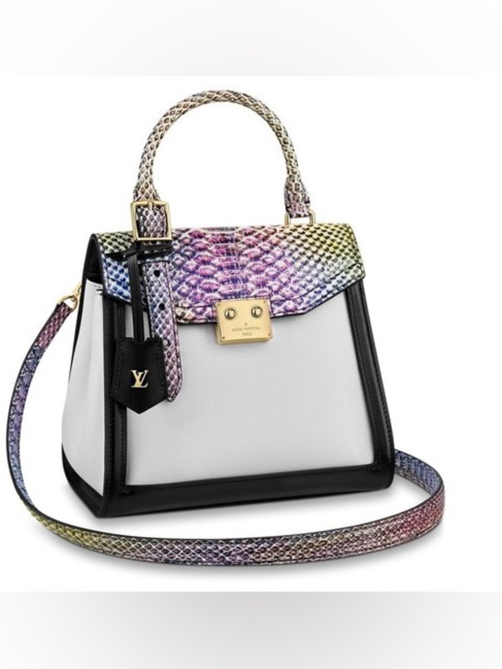 Louis Vuitton Arch PM Rainbow Exotic - Picture 4 of 4